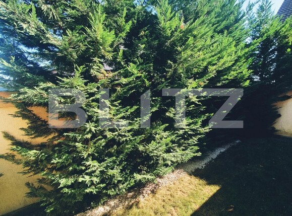 Casa de vânzare 4 camere Santandrei - 126540CV | BLITZ Oradea | Poza13