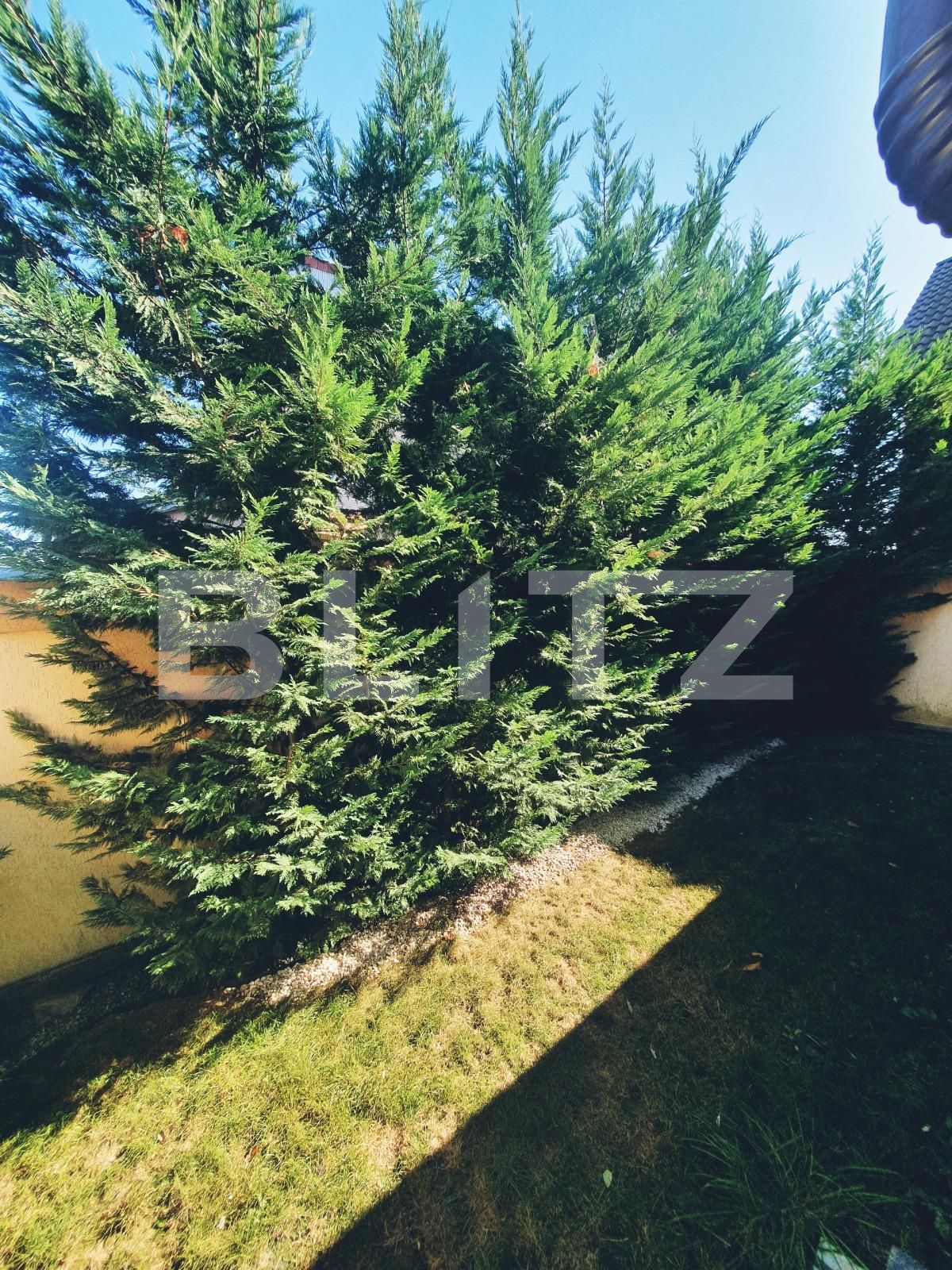 Casa de vânzare 4 camere Santandrei - 126540CV | BLITZ Oradea | Poza13