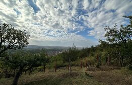 Teren de vanzare Piatra Craiului