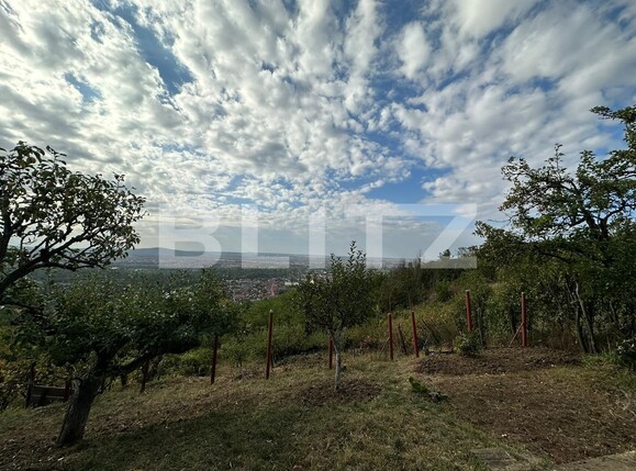 Teren de vânzare Dealuri Oradea - 126819TV | BLITZ Oradea | Poza2