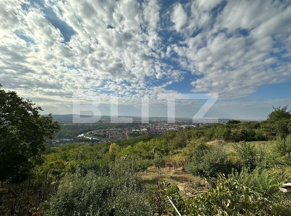 Teren de vânzare Dealuri Oradea - 126819TV | BLITZ Oradea | Poza4