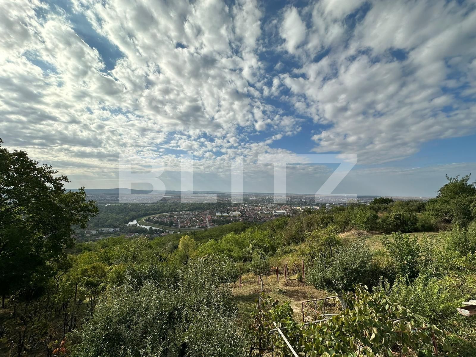 Teren de vânzare Dealuri Oradea - 126819TV | BLITZ Oradea | Poza4