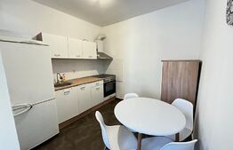 Apartament la casa, 80 mp, zona Ultracentral