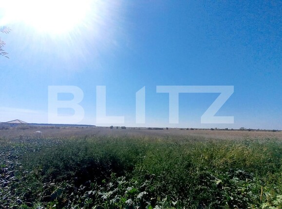 Teren de vânzare Nicolae Grigorescu - 126847TV | BLITZ Oradea | Poza1