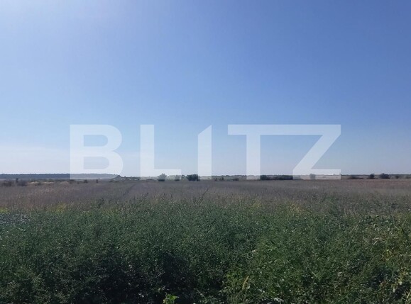 Teren de vânzare Nicolae Grigorescu - 126847TV | BLITZ Oradea | Poza2