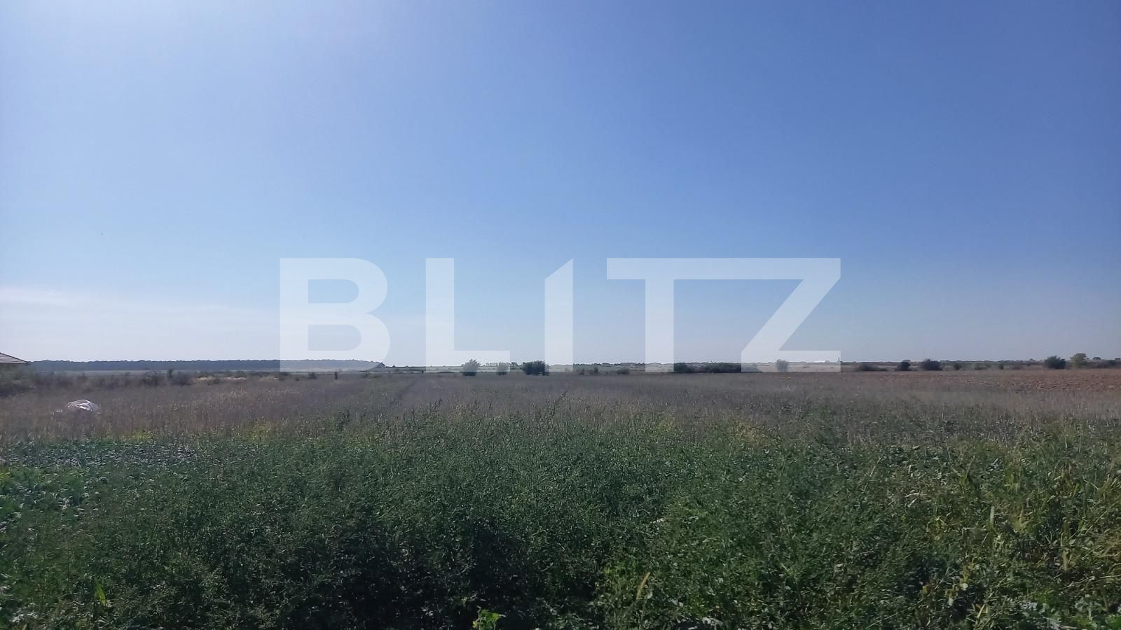 Teren de vânzare Nicolae Grigorescu - 126847TV | BLITZ Oradea | Poza2