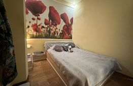 Apartament ultracentral, 90 mp, zona Vasile Alecsandri