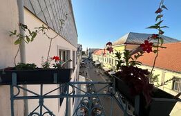 Apartament ultracentral, 90 mp, zona Vasile Alecsandri