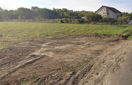 Teren pe str. Facliei cu PUZ, apa, canal, curent, gaz, 500 mp - intravilan