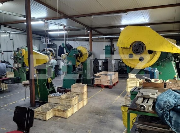 Spațiu industrial de vânzare Sud-Vest - 127538SVI | BLITZ Oradea | Poza11