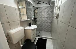 Apartament de 2 camere, 45 mp, zona Louis Pasteur