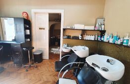 Casa in centru cu intrare auto, 150mp, 404 mp teren