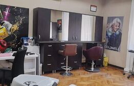 Casa in centru cu intrare auto, 150mp, 404 mp teren