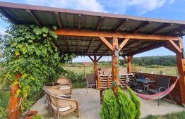 Cabana de vanzare in Alparea,1400 mp teren