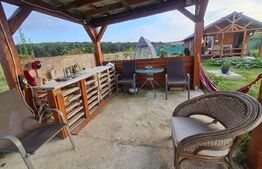 Cabana de vanzare in Alparea,1400 mp teren