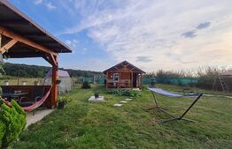 Cabana de vanzare in Alparea,1400 mp teren