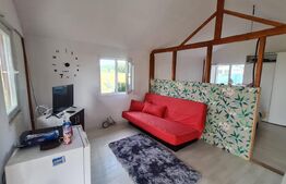 Cabana de vanzare in Alparea,1400 mp teren