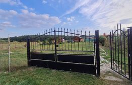 Cabana de vanzare in Alparea,1400 mp teren