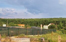 Casa in constructie, proiect deosebit suprafata utila m2 si teren 600 m2