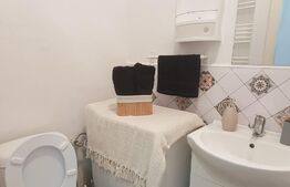 Oportunitate de investitie! Apartament Ultracentral, etaj 1, 35 mp.