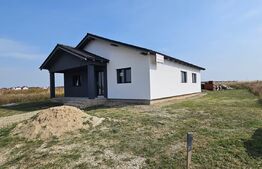 Casa de vanzare la alb, 105mp, comuna Sanmartin