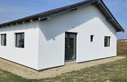 Casa de vanzare la alb, 105mp, comuna Sanmartin