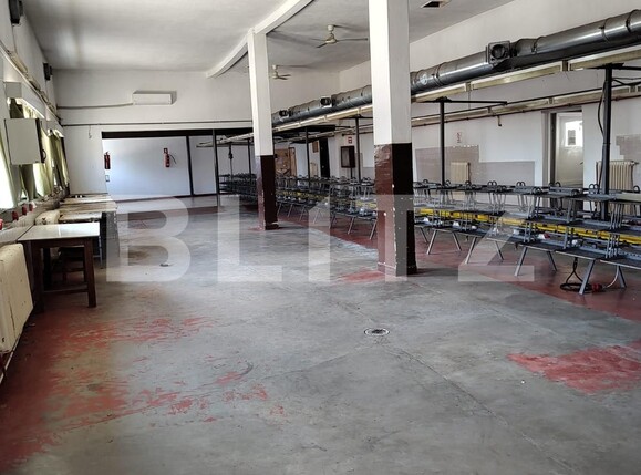 Spațiu industrial de închiriat Nord-Est - 128719SII | BLITZ Oradea | Poza2