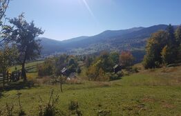Teren de vanzare in zona Arieseni 