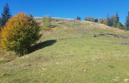 Teren de vanzare in zona Arieseni 