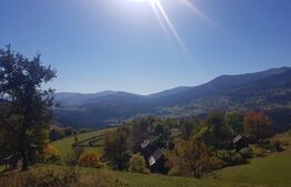 Teren de vanzare in zona Arieseni 