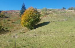 Teren de vanzare in zona Arieseni 