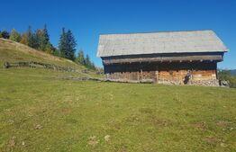 Teren de vanzare in zona Arieseni 