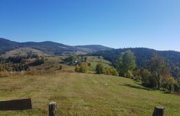 Teren de vanzare in zona Arieseni 