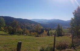 Teren de vanzare in zona Arieseni 
