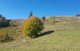 Teren de vanzare in zona Arieseni 