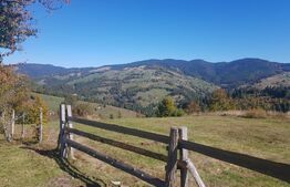 Teren de vanzare in zona Arieseni 