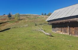 Teren de vanzare in zona Arieseni 