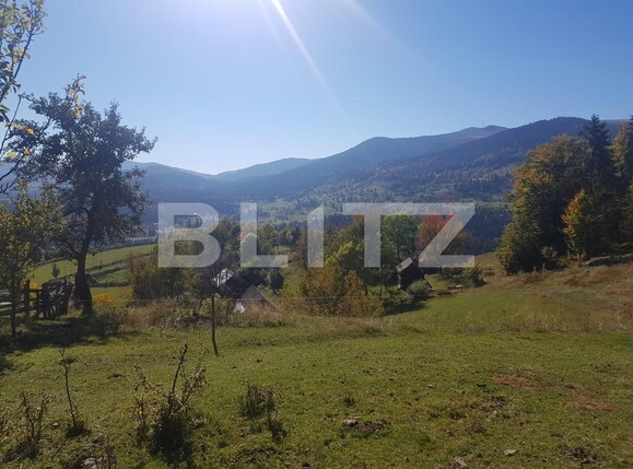 Teren de vânzare Vest - 129265TV | BLITZ Oradea | Poza2