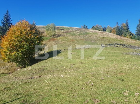 Teren de vânzare Vest - 129265TV | BLITZ Oradea | Poza4