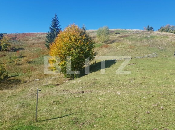 Teren de vânzare Vest - 129265TV | BLITZ Oradea | Poza6