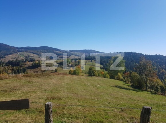 Teren de vânzare Vest - 129265TV | BLITZ Oradea | Poza10