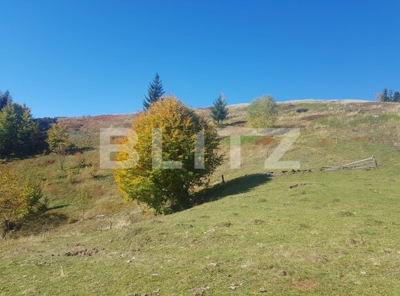 Teren de vânzare Vest - 129265TV | BLITZ Oradea | Poza3