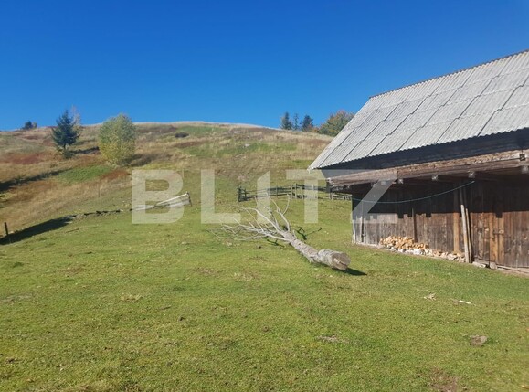 Teren de vânzare Vest - 129265TV | BLITZ Oradea | Poza12