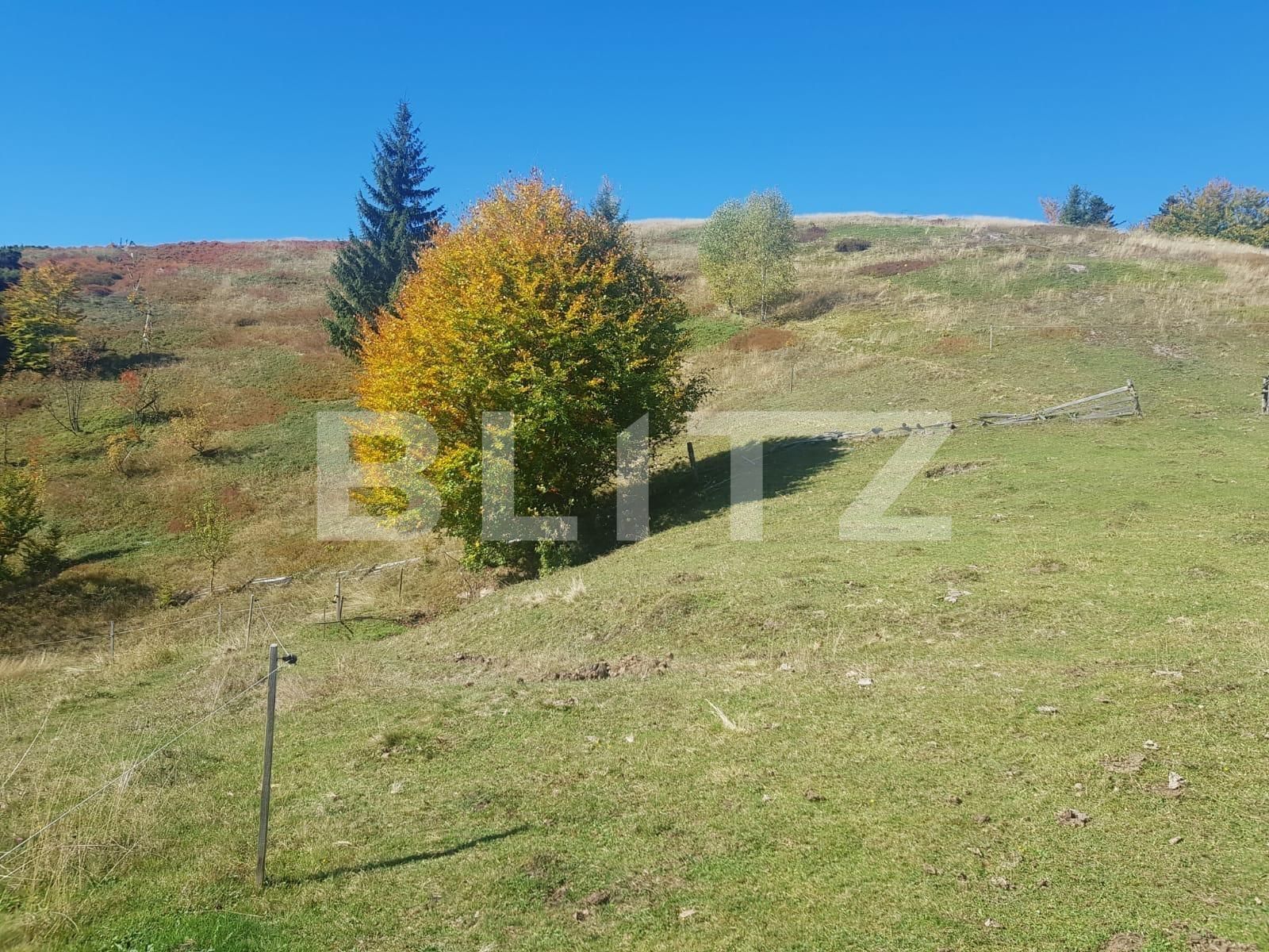 Teren de vânzare Vest - 129265TV | BLITZ Oradea | Poza6