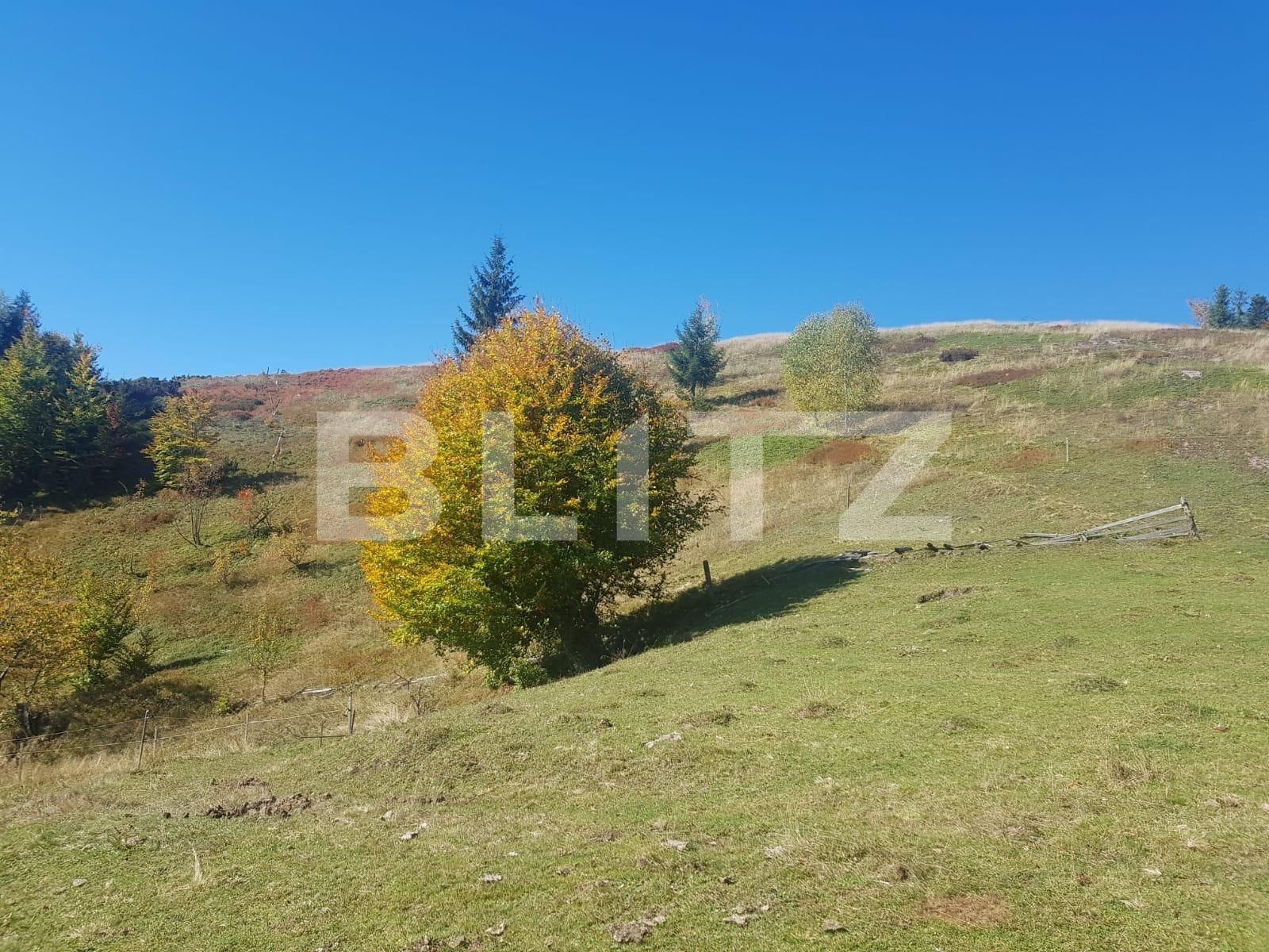 Teren de vânzare Vest - 129265TV | BLITZ Oradea | Poza3