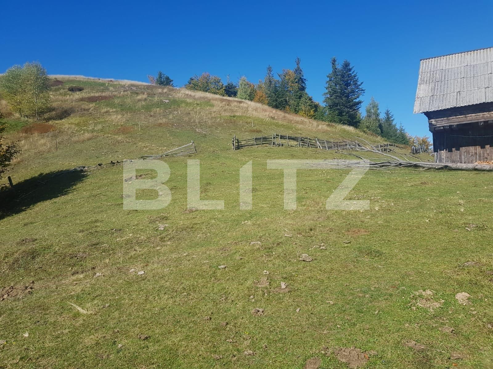 Teren de vânzare Vest - 129265TV | BLITZ Oradea | Poza5