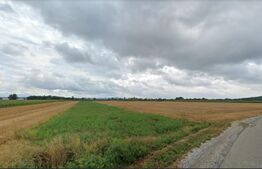 Teren pt BALASTIERA intravilan in Fughiu / Osorhei