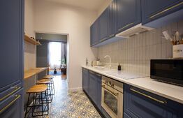 Apartament tip loft, lux, 50 mp, Ultracentral