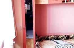 Grasoniera mobilata si utilata, 14mp, zona Ronald Reagan