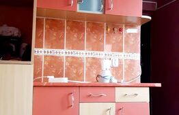 Grasoniera mobilata si utilata, 14mp, zona Ronald Reagan